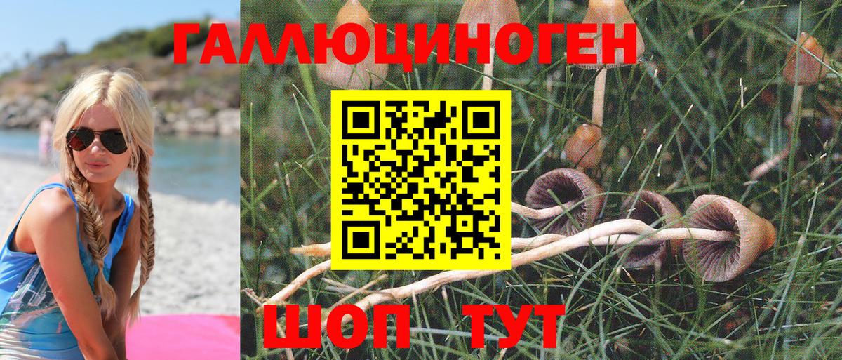 Псилоцибиновые грибы Magic Shrooms  Вход с VPN  цена наркотик  Псилоцибиновые грибы Psilocybine cubensis  Батайск 
